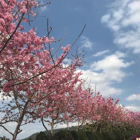 溪頭吉野民宿ji-Ye Lugu Exteriör bild