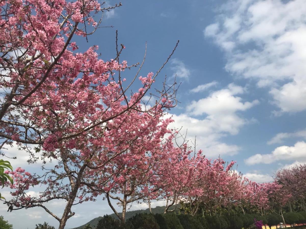 溪頭吉野民宿ji-Ye Lugu Exteriör bild